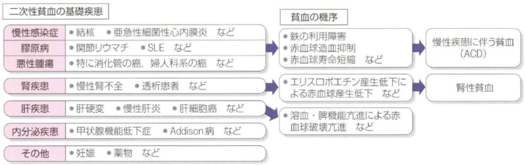 川崎競馬 配信